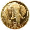 Zlatá mince 1/4 oz Slon Big Five Serie II Proof – Leštěný povrch – 2021 – South African Mint