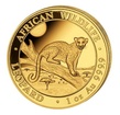 1 oz zlat mince Gold Somalia Leopard 2021 Bayerisches Hauptmnzamt