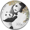 1 kg stbrn mince Panda PROOF-irizujc zbarven 2023 - China Mint