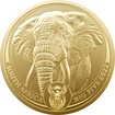 Zlat mince 1 oz Slon Big Five 2022 BU  South African Mint