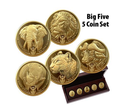 Zlat mince Set 5x1 oz Big Five Serie I (2019-2021) PROOF 2022  South African Mint