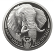Stbrn mince 5 oz Slon Big Five Serie II 2021  South African Mint