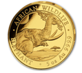5 oz zlatá mince Slon africký 2023 PROOF - Somálsko - Bayerisches Hauptmünzamt