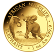 1 oz zlat mince Slon africk 2024 - Somlsko - Bayerisches Hauptmnzamt