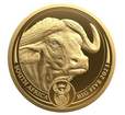 Zlat mince 1 oz Buvol Big Five Serie II PROOF 2023  South African Mint