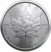 The Royal Canadian Mint 1 oz platinov mince Maple Leaf 2022 Royal Canadian Mint
