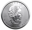 The Royal Canadian Mint 1 oz stbrn mince Silver Maple Leaf 2023 Royal Canadian Mint