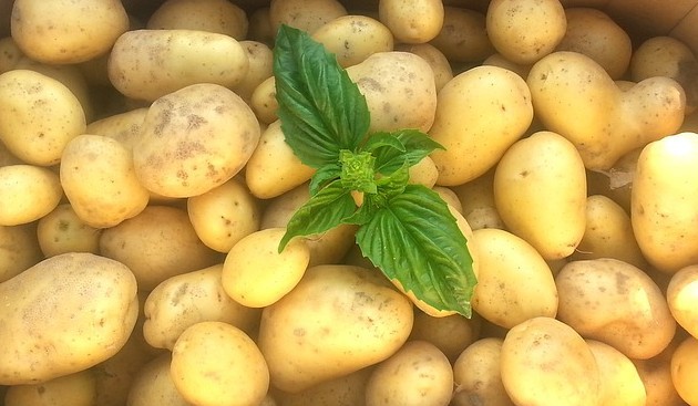 Zdravé a výtečné brambory