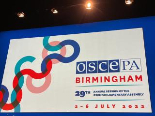 Zasedn Parlamentn shromdn OBSE v Birminghamu