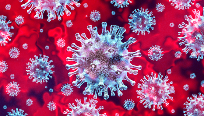 Image result for koronavirus