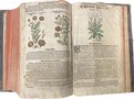 Prastarý herbář aneb Bylinář od Petra Ondřege Mathiola z roku 1596