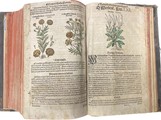 Prastar herb aneb Bylin od Petra Ondege Mathiola z roku 1596