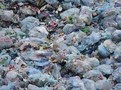 Téměř polovinu plastového odpadu tvoří obaly