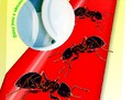 Přípravek proti mravencům na přírodní bázi