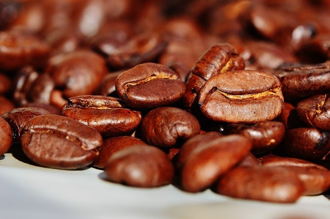 Jak využít lógr z kávy: Poslouží jako hnojivo i přírodní čistič 