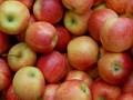 Loňská sklizeň jablek byla v Německu nadprůměrná