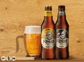 Kozel dobývá rumunský trh, daří se ale i jiným pivům