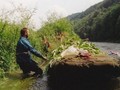 Invazní druhy v Česku jsou rozšířené Odstraňování invazního druhu - netýkavky