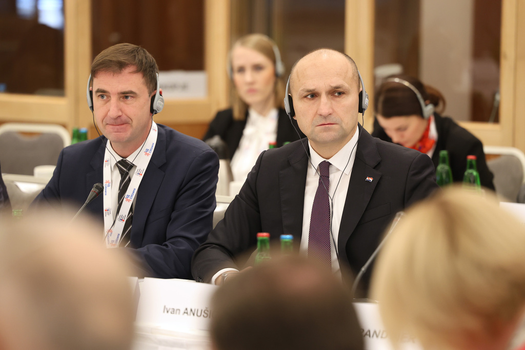 Druh den jednn ministr obrany CEDC o bezpenostn situaci na Ukrajin a Blzkm vchod
