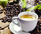 Podstata dobré kávy tkví v kvalitních surovinách