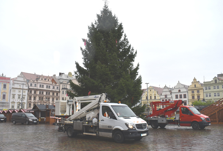Letošní vánoční strom je z Dýšiny (foto: M. Krausová)