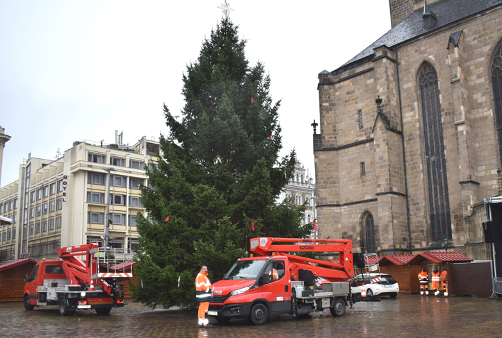 Letošní vánoční strom je z Dýšiny (foto: M. Krausová)