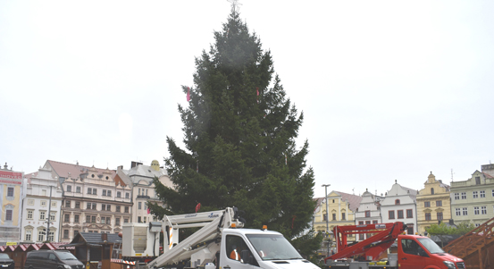 Vánoční strom na náměstí republiky v Plzni