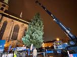 Vánoční strom na náměstí Republiky 