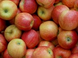 Losk sklize jablek byla v Nmecku nadprmrn
