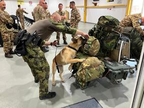 innost psovoda na misi jednotky Vojensk policie v Kosovu