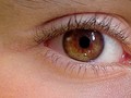 Co o nás prozradí zorničky a jaké velikosti dorůstá lidské oko? Toto je šest zajímavostí o našem zraku