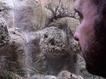 Zoo Plze pivtala ojedinl prstek, v Krlovstv jedu chov zmiji pavou