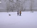 Sněhová bouře v Coloradu