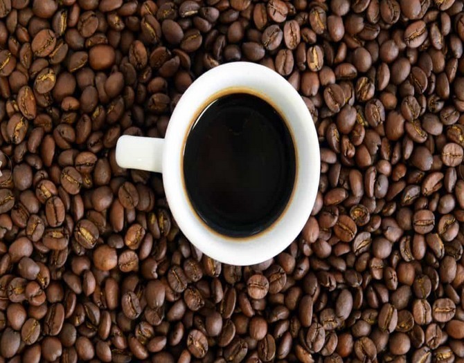 Káva se pěstuje v tzv. kávovém pásu