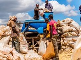 Zemědělství v Keni zaměstnává 75 % pracovní síly 