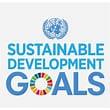 CZ pedstav v OSN v 7/2021 plnn cl udritelnho rozvoje/SDGs