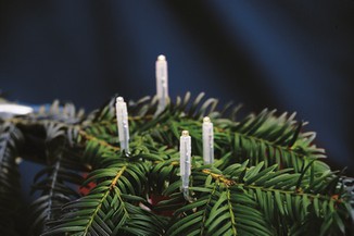 Vánoční elektrické svíčky