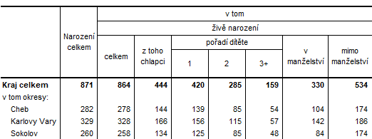  Narozen v Karlovarskm kraji a jeho okresech v 1. pololet 2024