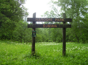 Národní park Šumava: je v ohrožení?