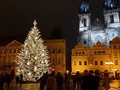 Letos je v Praze jednatřicet vánočních stromů