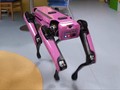psí robot navštívil dětské oddělení plzeňské nemocnice