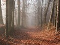 Ilustrační foto.