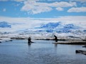 ledovce na východní Antarktidě změna klimatu