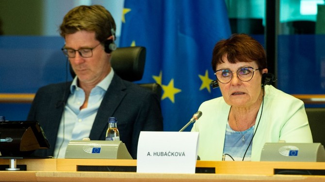 Ministryn Anna Hubkov pedstavila v Evropskm parlamentu priority eskho pedsednictv 
