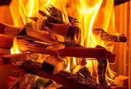 Jakým dřevem topit v krbu?