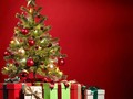 Češi za vánoční stromky letos utratí 850 milionů korun