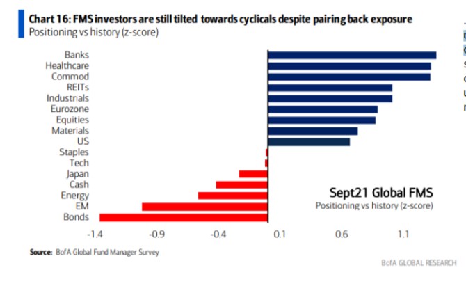 Bank of America Global Fund Managers Survey II, z 2021, Patria