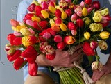 Pro eny nepekvapit romantickmi tulipny