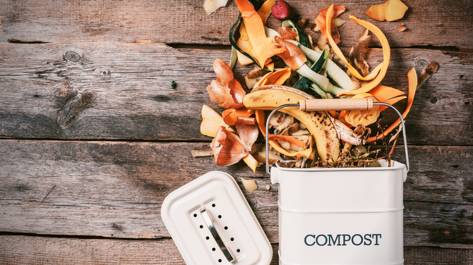 Mezinrodn tden kompostovn: Komposty z bioodpad pomhaj zvyovat kvalitu pdy