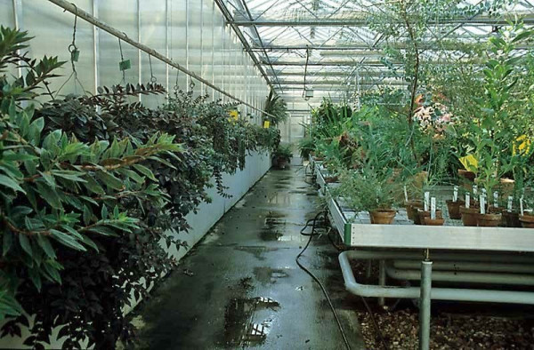 Sklenky v libereck botanick zahrad se dokaj obnovy